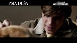 Psia duša Dog´s Purpose  slovenský web spot [upl. by Mobley581]