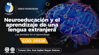 Neuroeducación y aprendizaje de una lengua extranjera 2 05538 [upl. by Atiuqihc]