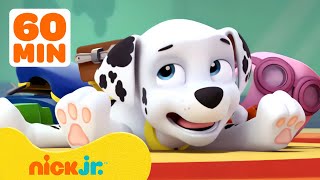 PAW Patrol Marshalls Silliest Moments 🤭 1 Hour Compilation  Nick Jr [upl. by Emoraj264]