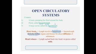 Module 3 Lesson 8  Mammalian Circulation [upl. by Arval]