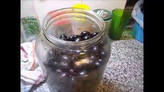 Cómo hacer aceitunas caseras negras 1 [upl. by Kenney373]