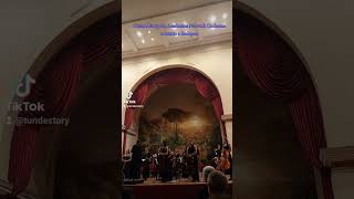 Ceman  Central European Academies Network Orchestra  concerto a Budapest [upl. by Vachell]