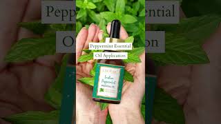 Peppermint Essential Oil  Peppermint Oil  Lafayre [upl. by Layor]