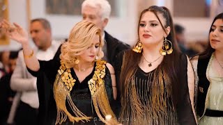 Best Kurdish wedding by Farshad amini harira  Kurdish dance 2023 [upl. by Gnet]