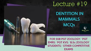 dentition in mammals mcq II ssb pgt zoology II BSc zoology II bilingual content odia amp engish II [upl. by Kcerred478]