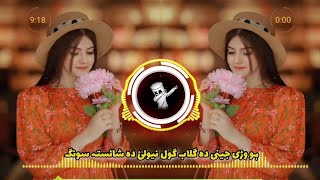 posto new song pashto tapaypashto tapay 2024 gul rukhsar new song 2024 [upl. by Grannias]