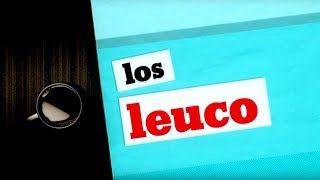 Los Leuco 29082017 [upl. by Ihsorih630]