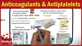 Pharmacology  Anticoagulants and Antiplatelet Drugs FROM A TO Z [upl. by Gusti]