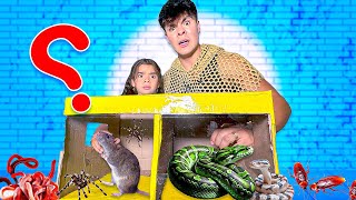 ¿QUÉ HAY EN LA CAJA Con animales Extremo😱🔥 Carlos amp Adri [upl. by Vaientina]