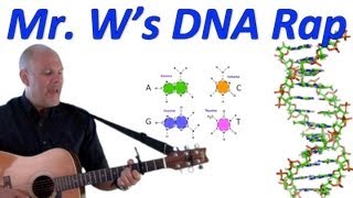 DNA Fantastic Mr Ws DNA Rap [upl. by Oniuqa365]