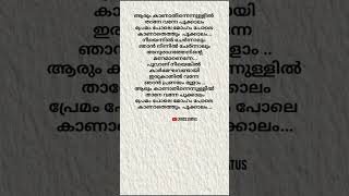 Aarum kanathe song lyrics 💕malayalam malayalamsonglyrics music whatsappstatus lyrics shorts [upl. by Howlyn]