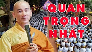 Bài Giảng Quá Hay Bước đi trên cuộc sống điều quan trọng nhất là gì – Thích Tâm Nguyên [upl. by Kam]