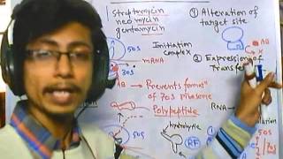 Antibiotic resistance against 70s ribosome inhibitor [upl. by Sewell585]