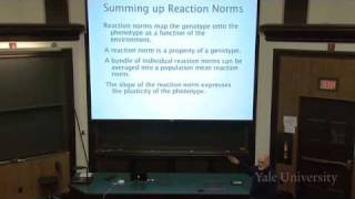 8 The Expression of Variation Reaction Norms [upl. by Vanna69]