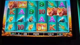 Raging Rhino Week  13  MAX BET amp BIG WIN Slot Machine Bonus Round Free Games  MASSIVE RETRIGGERS [upl. by Llertnad]