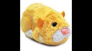 Zhu Zhu Pets Review On Nugget [upl. by Ddej]