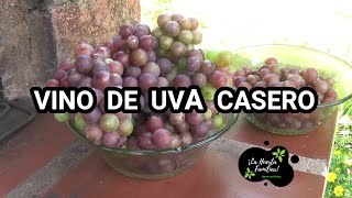 Como hacer vino de uva casero muy fácil  paso a paso [upl. by Unhsiv]