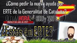 Última hora 💰 Cómo pedir la nueva ayuda por ERTE de la Generalitat de Cataluña [upl. by Casmey734]