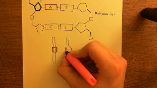 Antisense Oligonucleotides Part 1 [upl. by Wilber166]