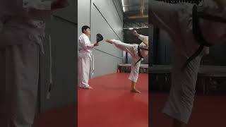 Mawashi geri karate [upl. by Ollehcram]