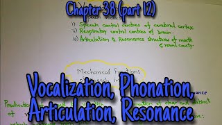 Vocalization phonation articulation resonance Chapter 38 part 12 Guyton and hall physiology [upl. by Aillemac80]