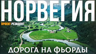 Путешествие по Норвегии на автомобиле дорога на Фьорды Документальный фильм [upl. by Garfield]