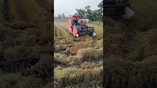 Chain harvester DC 99 G sampark Karen [upl. by Norah]