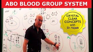 ABO Blood Group System  Blood Types amp ABO Antigens👨‍⚕️ [upl. by Refeinnej]