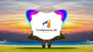 Mix  Time Of Our Lives amp PLVTO  Are You With Me music to study amp relax TuneSpectrum8K [upl. by Pammi]