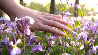 Amazing Colors of Spring 4K Nature Relaxation Film  Nature Background [upl. by Ezri]