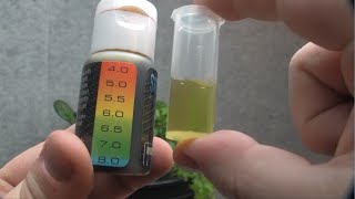 How to use the Sure Test pH Test Kit [upl. by Liemaj]