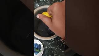 Organic sangu poo tea Organic Bluepea Lemon Honey happy gardening [upl. by Adnala]