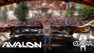 Avalon  Ozora Festival 2024 Full Set Movie [upl. by Sibylla]