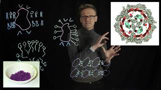 Lecture 08 concept 06 The first membrane protein structure  bacteriorhodopsin [upl. by Eelrebmik]