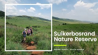 Hiking trails in South Africa  Cheetah trail  Bokmakierie trail  Suikerbosrand Nature Reserve [upl. by Norel]