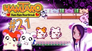 Lets Play Hamtaro HamHam Herzschmerz Part 21 Der mit dem HulaSchritt [upl. by Ordnasil]