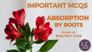 Important Biology Questions  MCQs  Class 10 ICSE Chapter 4 Absorption By Roots [upl. by Enyledam71]