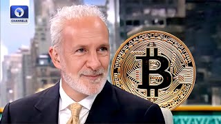 Bitcoin Could Hit 10m  Peter Schiff [upl. by Ecnarret225]