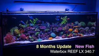 Reef Update After A Break Was It That Long [upl. by Markson]