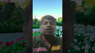 love ke marriage me na milohe dahezviralvideomagai [upl. by Dnomed551]