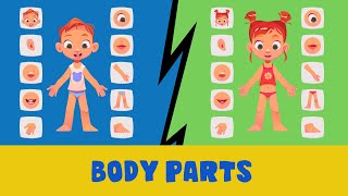 Learn Parts Of Body Name  Parts of Body Name in English  Human Body Parts  Basic English Learning [upl. by Alessig128]