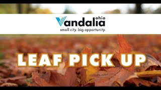 Monday October 30 2023  Focus Vandalia  Leaf PickUp [upl. by Aibsel]