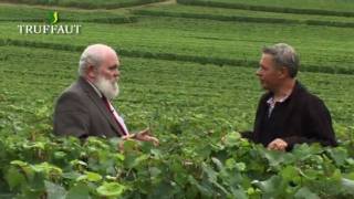 La vigne  les conseils du directeur du vignoble de Veuve Clicquot en Champagne  Truffaut [upl. by Parrish]