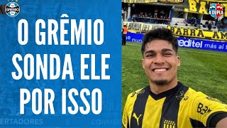 🔵⚫ Grêmio Matias Arezo  finalizador nato  Faro de gol e velocidade  Talento e potencial [upl. by Keavy994]