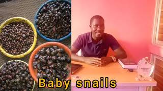 Types of Snail Housing in Snail Farming [upl. by Edyaj]