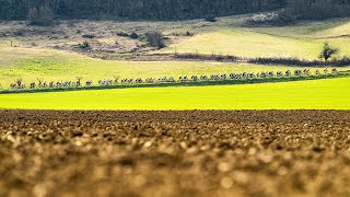 “La Corima Drôme Provençale 2022” Official aftermovie 🎬 [upl. by Ehrenberg]