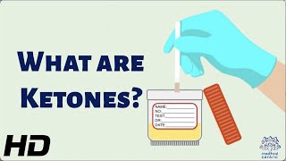 What Are Ketones and Why Are They So Important for Your Health [upl. by Rehtaef584]