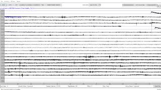 Live Earthquake Monitoring Digital Seismic Sensor [upl. by Alisia]