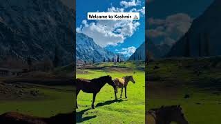 Welcome to Kashmir trip and enjoy the Kashmir weather for your families or enjoying beautiful look [upl. by Maryly779]