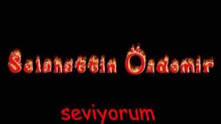 Selahattin Özdemir  seviyorum \u00100 Damar [upl. by Valley]